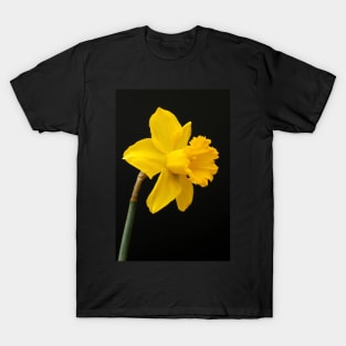 Daffodil T-Shirt